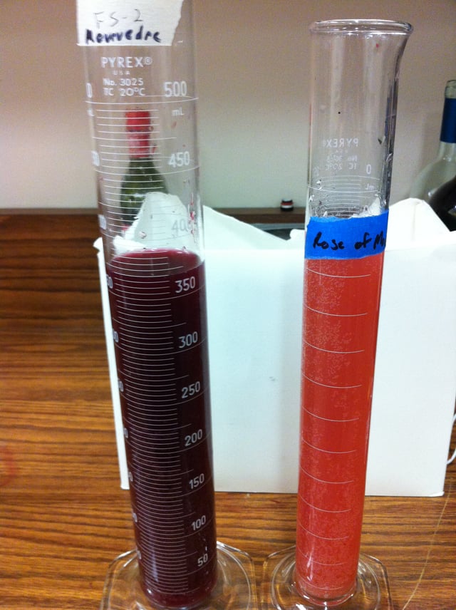Example of Mourvèdre (left) and a saignée rosé (right) separated from the same fermentation batch after a few days of skin contact