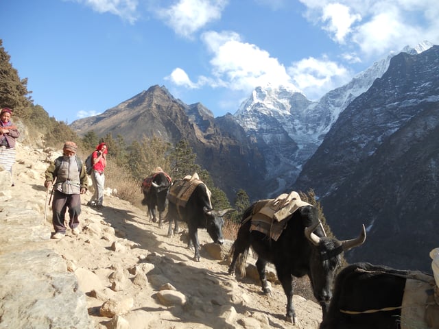 Means of transport in mountainous area