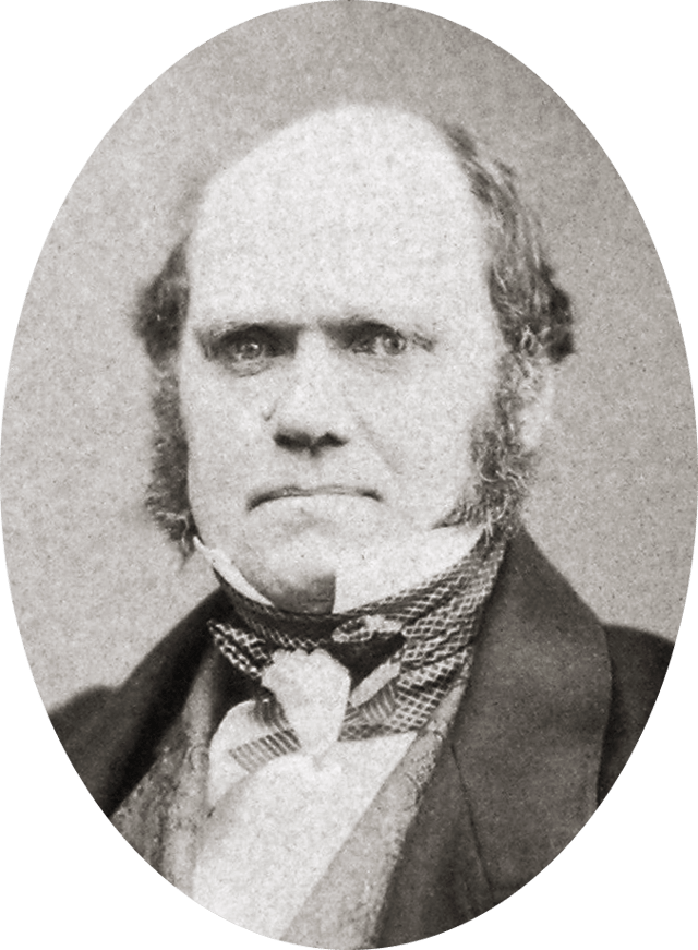 Charles Darwin, aged 46 in 1855, by then working towards publication of his theory of natural selection. He wrote to Hooker about this portrait, "if I really have as bad an expression, as my photograph gives me, how I can have one single friend is surprising."