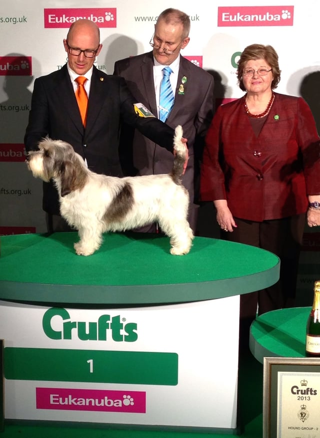 Soletrader Peek A Boo, winner of Crufts 2013