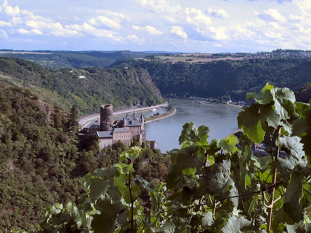 Rhine valley in summer at Lorelei.