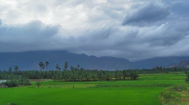 Agriculture forms a major portion of the state's economy.