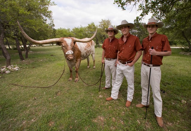 The "Silver Spurs" with the university's mascot, Bevo