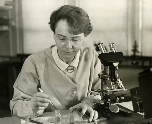 Barbara McClintock (1902–1992) was a pioneering cytogeneticist who used maize (or corn) to study the mechanism of inheritance of traits.
