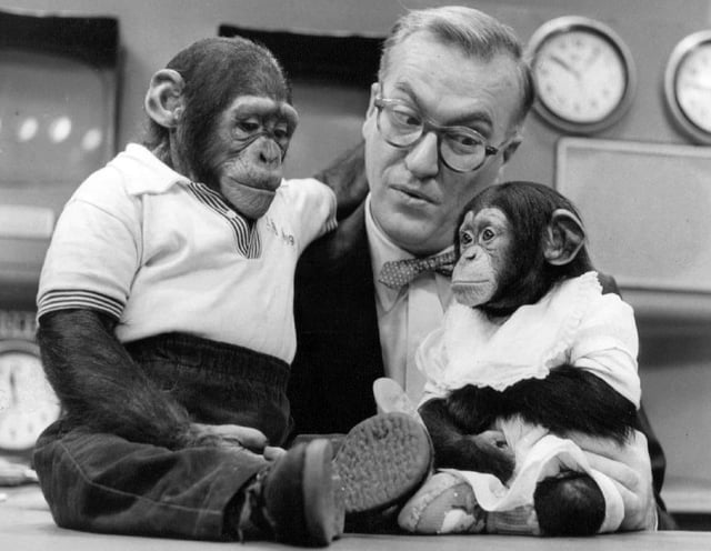 Mascot J. Fred Muggs and companion with Garroway, 1954