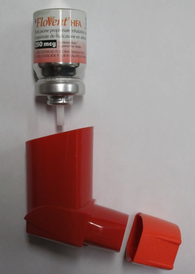Fluticasone propionate metered dose inhaler commonly used for long-term control.