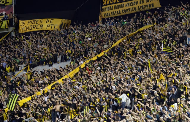 Fans at a match, May 2010