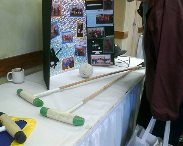 Polo mallets and ball