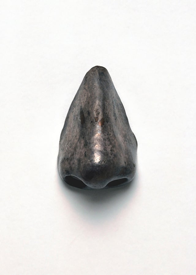 An artificial nose of the kind Tycho wore. This particular example did not belong to Tycho.