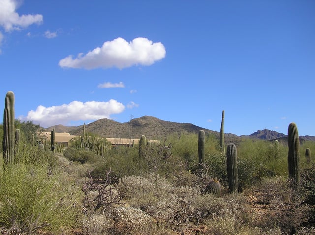 The Arizona-Sonora Desert taken looking back towards the museum entrance