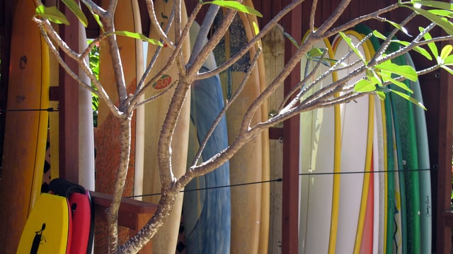 Mar Azul Surf Shop in Rincón