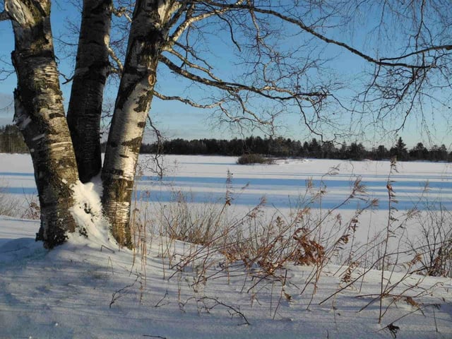 Seney National Wildlife Refuge