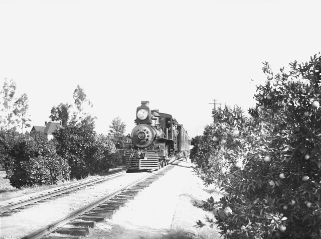 Southern Pacific Railroad train running through the tracks in an orange grove in Riverside, California, ca. 1910.