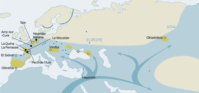 Replacement of Neanderthals by early modern humans.