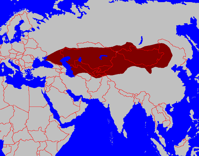 First Turk Khaganate (600 CE)