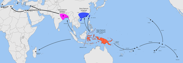 Map showing centers of origin of Saccharum officinarum in New Guinea, S. sinensis in southern China and Taiwan, and S. barberi in India; dotted arrows represent Austronesian introductions