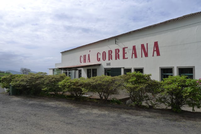 Cha Gorreana Tea Plantation Sao Miguel Azores Portugal Main Plant