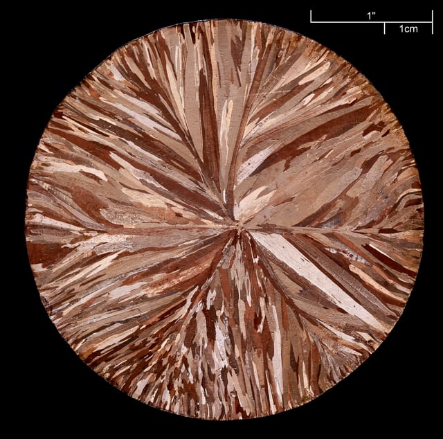 A copper disc (99.95% pure) made by continuous casting; etched to reveal crystallites