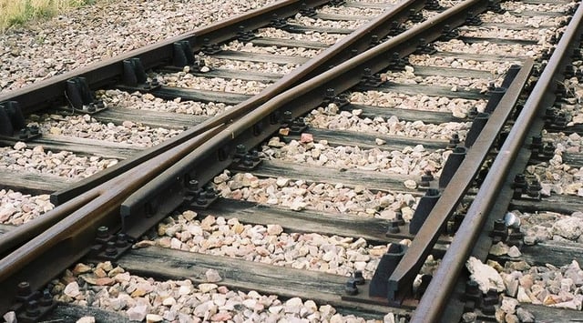 The frog (left) and guard rail (right) of a switch