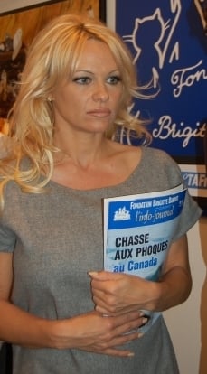 Anderson is a prominent activist for the animal rights movement.