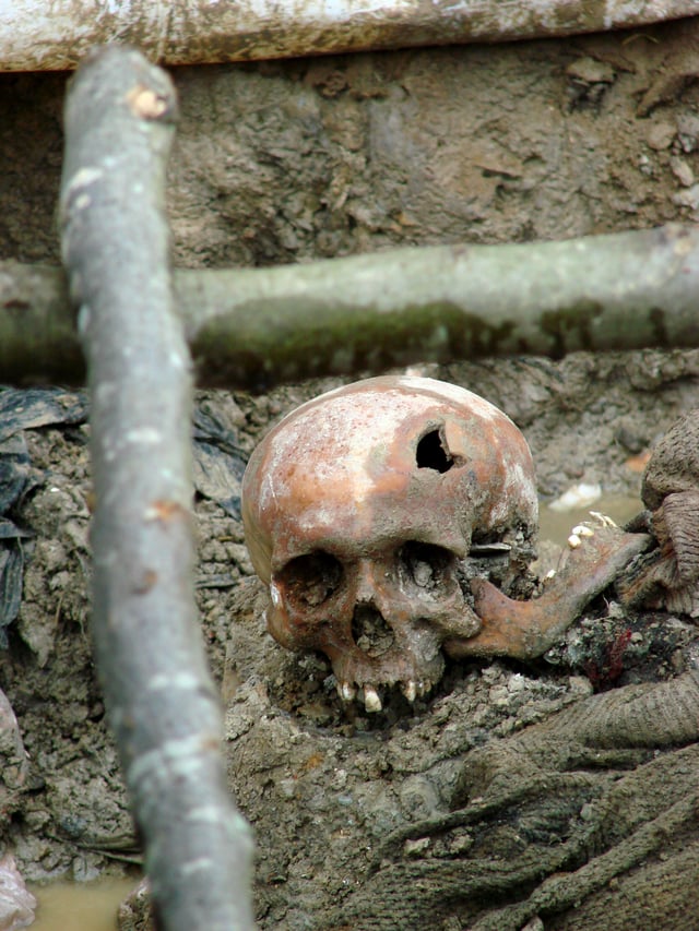The skull of a victim of the July 1995 Srebrenica massacre in an exhumed mass grave outside of Potočari, 2007