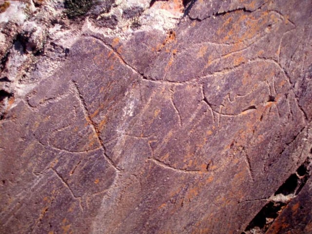 Prehistoric Rock Art Sites in the Côa Valley.