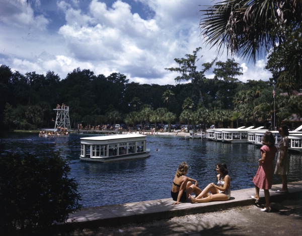 Silver Springs in Ocala is one of the many natural springs and lakes found in Central Florida.