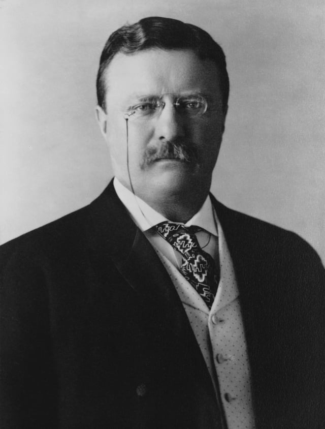 Theodore Roosevelt, 26th President of the United States (1901–1909)