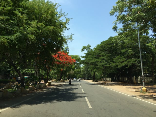 Race Course Road, Coimbatore