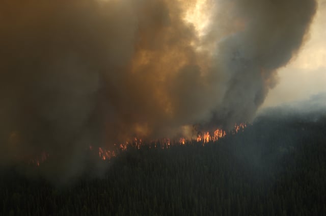 The Shanta Creek Fire began in a taiga area that had not had a major fire in over 130 years, and so was allowed to burn unchecked until it began to threaten populated areas.