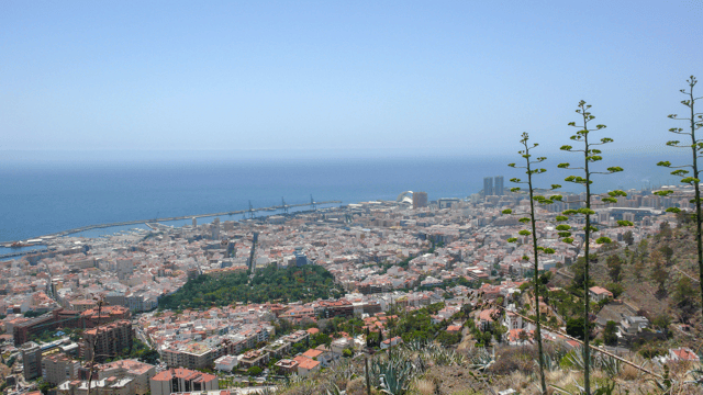 View of Santa Cruz de Tenerife.