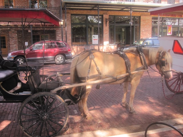 Horse-drawn carriage rides are available in the summer in historic Natchitoches