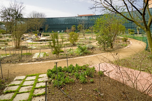 Jardin Henri Gaussen in winter
