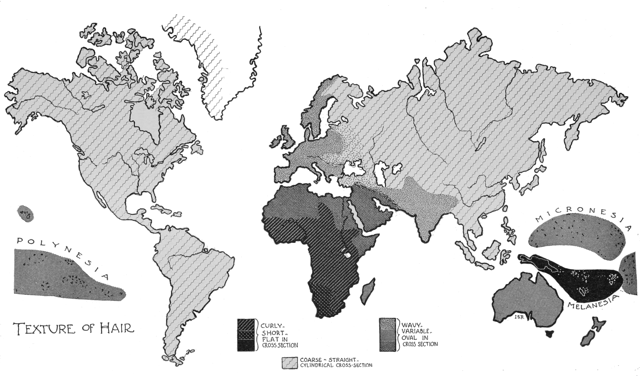 Global hair texture map.