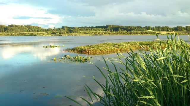 Årslev Engsø. The lakes and wetlands of Årslev Engsø and Egå Engsø were re-established in the 2000s to help manage the water cycle.