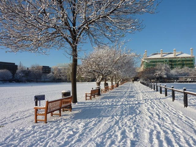 A winter scene in College Park