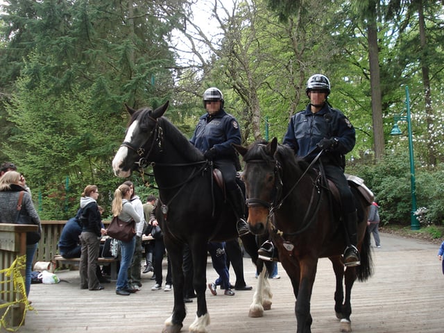 Mounted officers of the Vancouver Police Department in Stanley Park