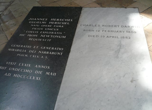 Tombs of John Herschel and Charles Darwin. Westminster Abbey.