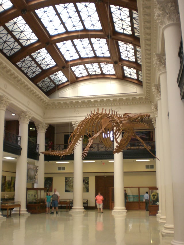 The Alabama Museum of Natural History at Smith Hall
