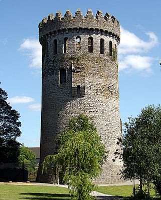 Nenagh Castle: the O'Kennedys struggled with the Butlers for control.