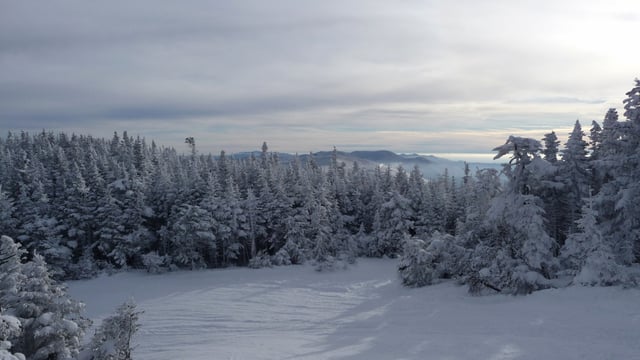 Sugarbush Resort