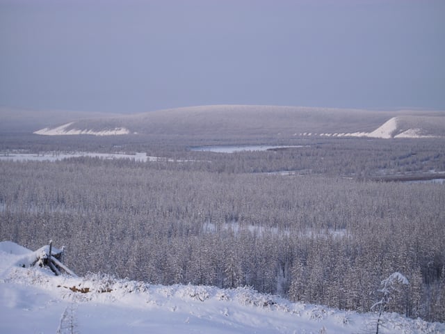 The taiga in the river valley near Verkhoyansk, Russia, at 67°N, experiences the coldest winter temperatures in the northern hemisphere, but the extreme continentality of the climate gives an average daily high of 22 °C (72 °F) in July.