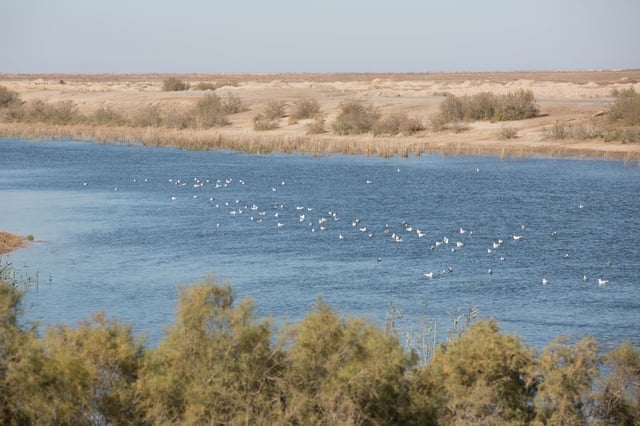 A reservoir in the Samawa desert Southern Iraq