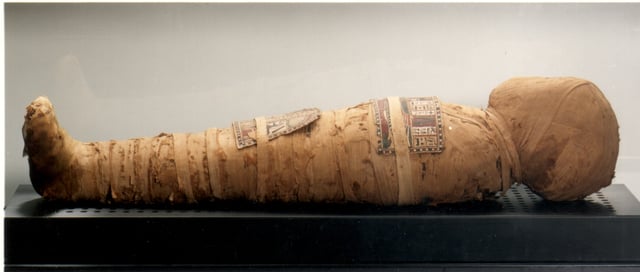 Nesi mummy (dynasty XX).