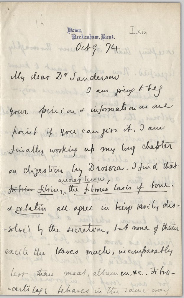 Letter from Charles Darwin to John Burdon-Sanderson