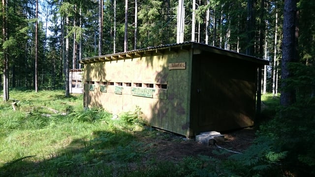 Bear watching hut in Alutaguse, Estonia. There are around 700 bears in Estonia and they are especially numerous in the Alutaguse forests.
