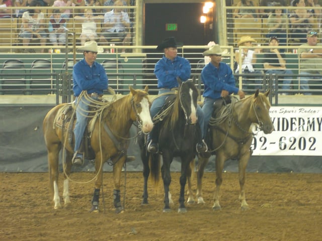 Central Florida Cowboy Culture, Silver Spurs Rodeo, Kissimmee