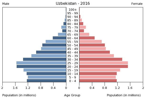 Population pyramid 2016