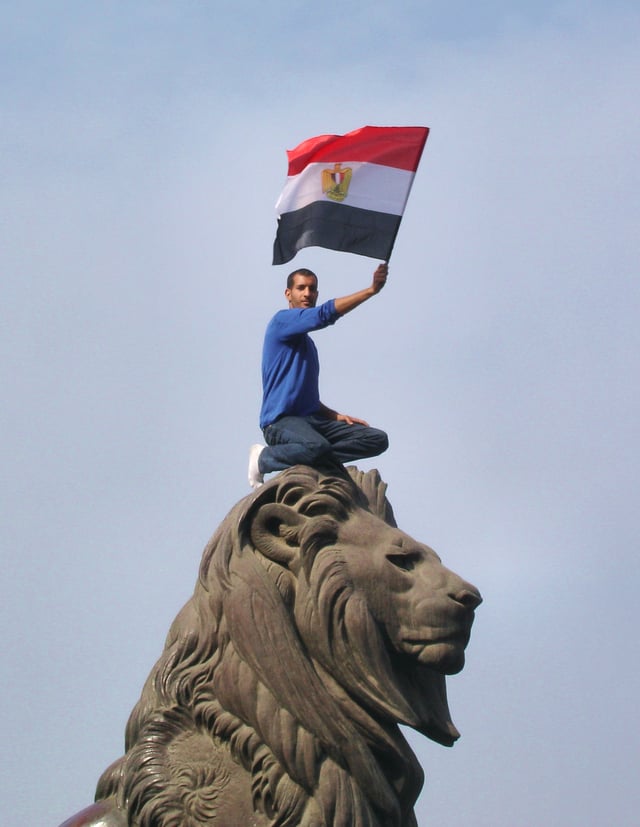 A protester holding an Egyptian flag during the protests that started on 25 January 2011