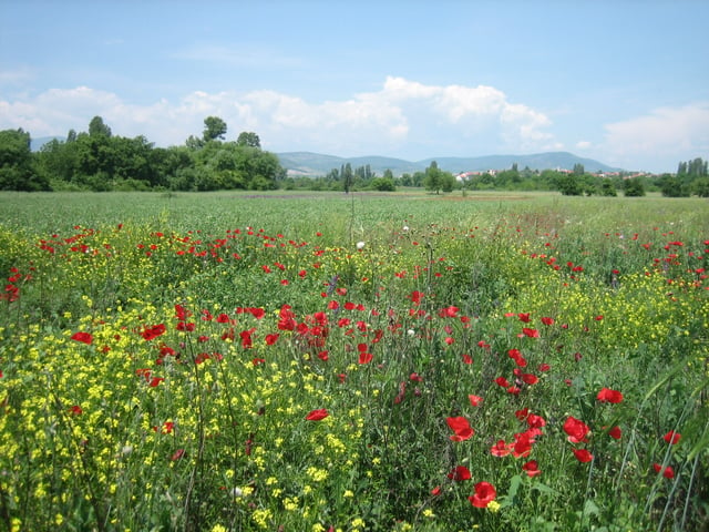 Landscape of the Skopje valley, near Bardovci.